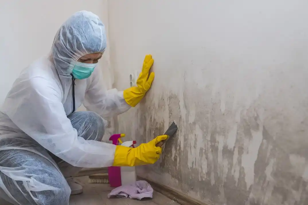 water damage restoration service Bonner-West Riverside